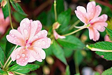 暗黑肉鸽游戏《暖雪》今日上线Steam 售价58元